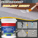 ( 600 Gm ) Waterproof Leakage Agent ( যেকোন ফাটল ও পাইপ লাইনের লিক স্থায়ীভাবে সিল)