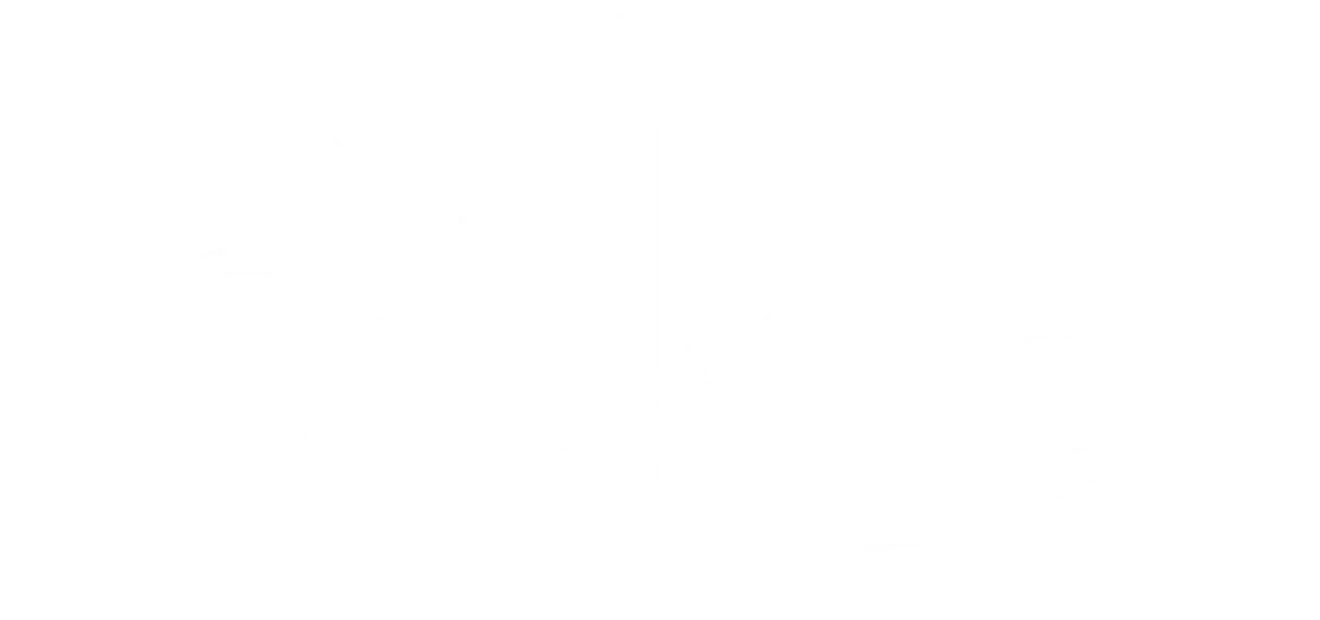 logo-footer