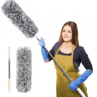 Duster Cleaner I সর্...