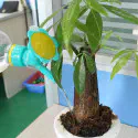 2 In 1 Home Garden Mini Watering Nozzle (Set of 2)