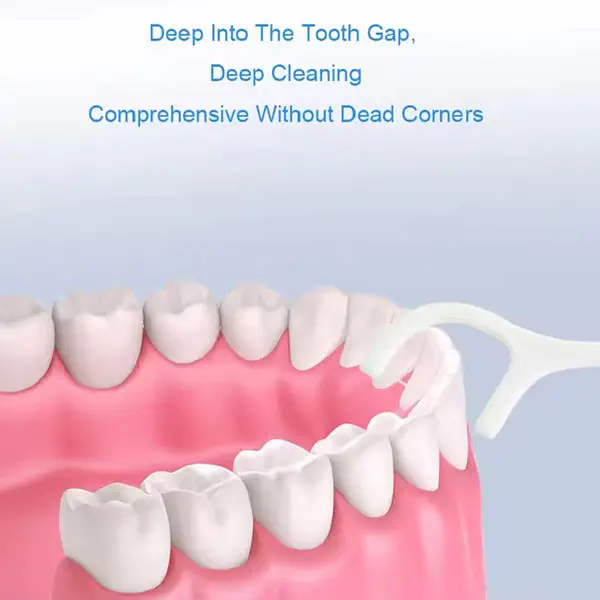 Tooth Cleaning Dental Floss