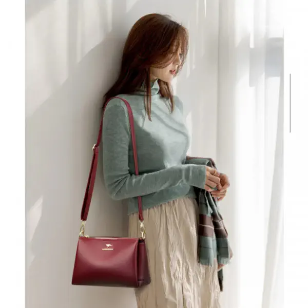 Shoulder and Handbags (meroon)