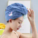 Quick Dry Hair Cap Towel  ( sky blue )