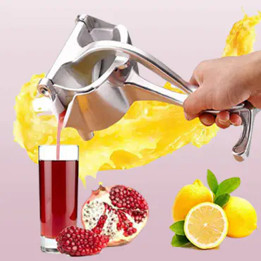 Fruit Press Manual J...