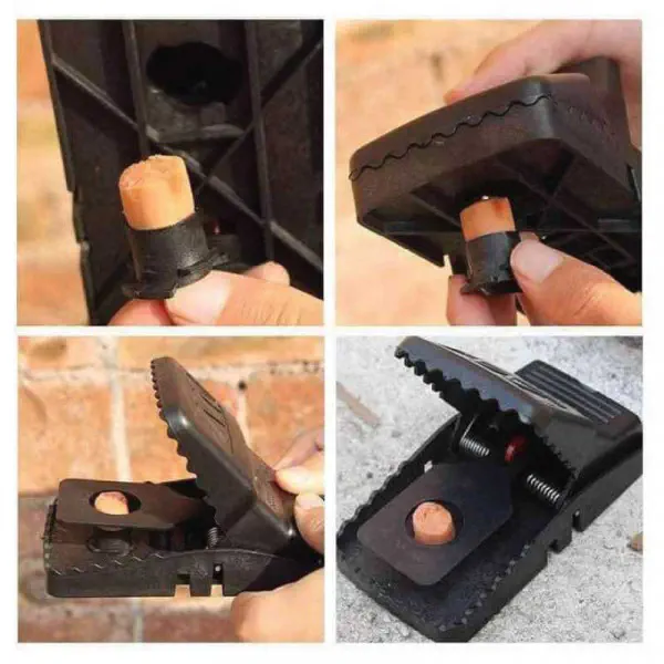 Mouse Trap Clip