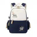 Stylish School Bag(blue)v5