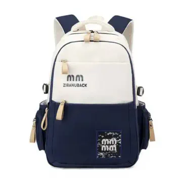 Stylish School Bag(blue)v5