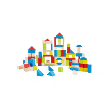 100 Piece Wooden Blo...