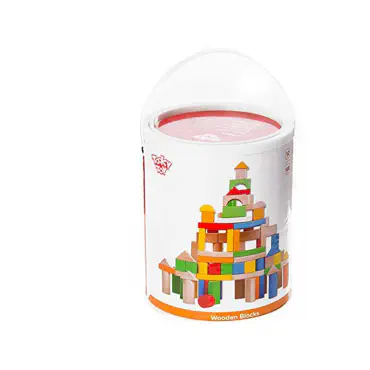 100 Piece Wooden Blo...