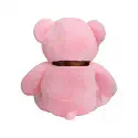 iBonny Teddy Bear