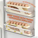 Double Layer Automatic Roll Down Egg Rack Holder